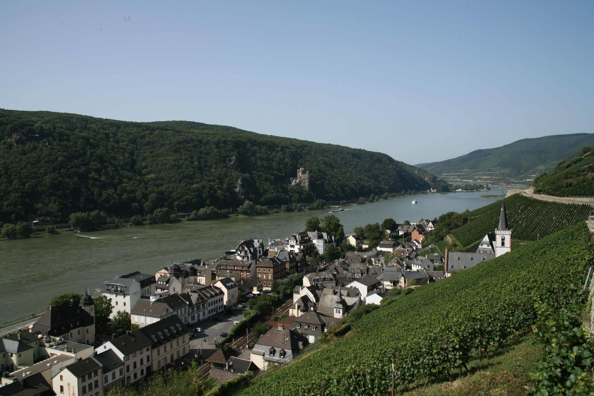 Rheinhotel Lamm Rüdesheim am Rhein Kültér fotó